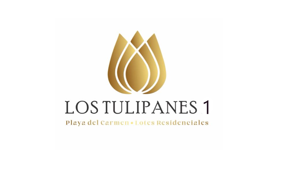 Tulipanes 1