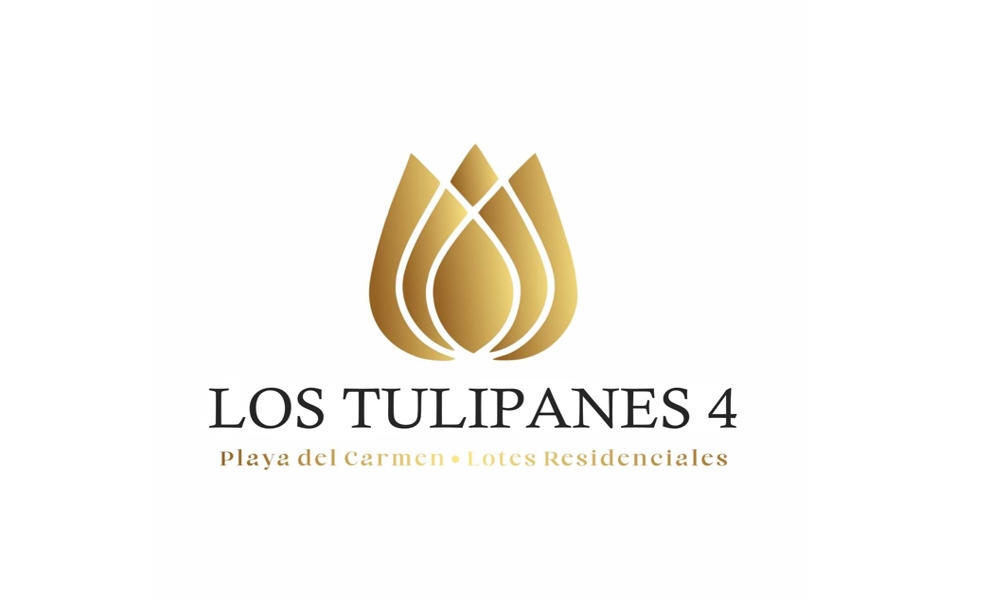 Tulipanes 4