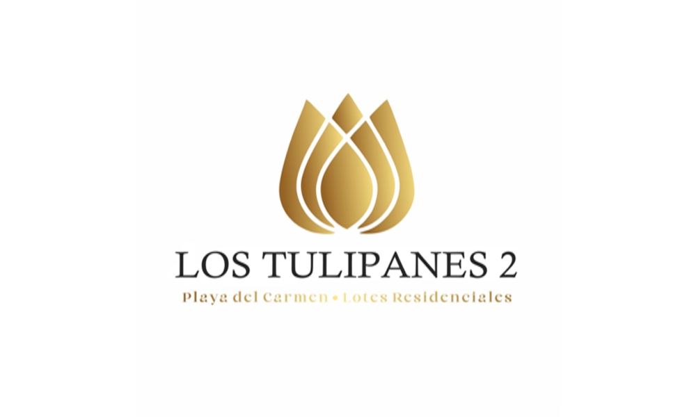 Tulipanes 2
